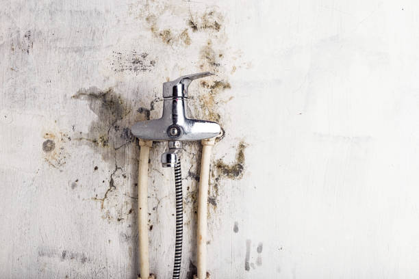 Best Post-Flood Mold Remediation in Salina, KS